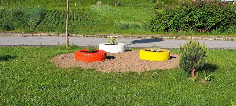 starostvosť o zeleň